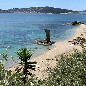 Superbe A 5 Minutes A Pied De La Appartement